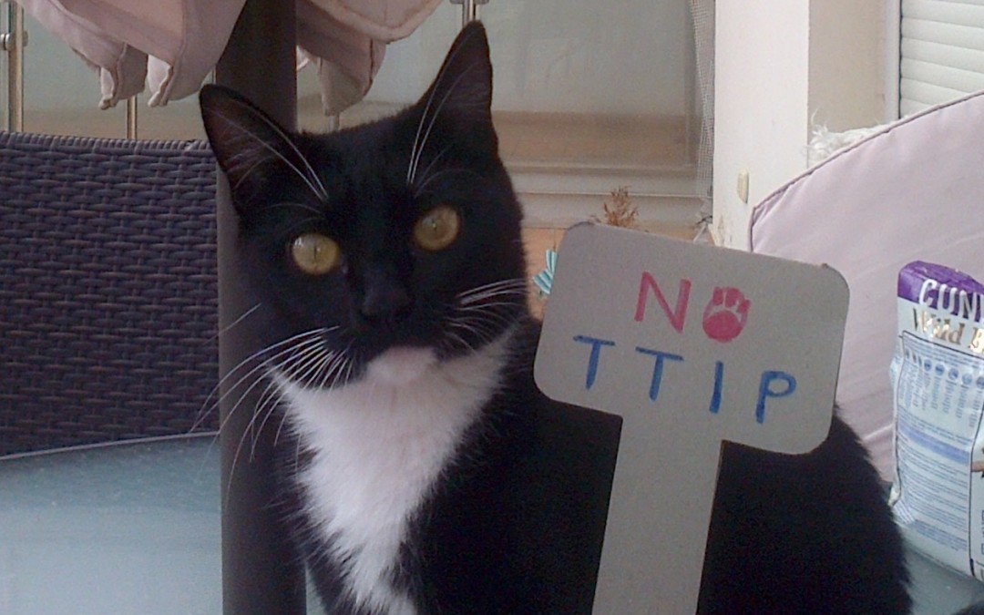 Mittens takes a stand – against the Transatlantic Trade and Investment Partnership